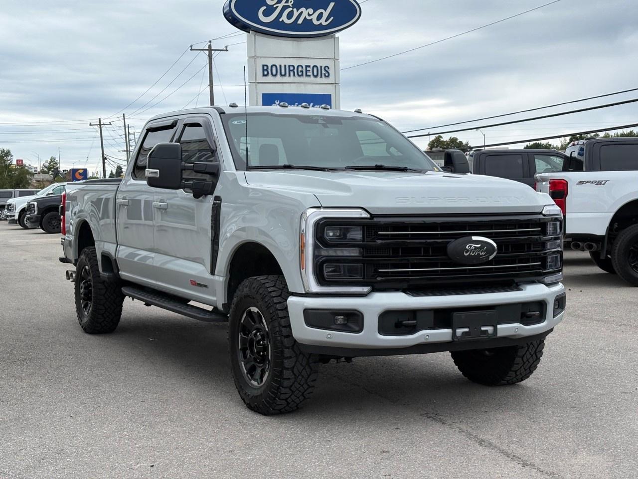 2025 Ford F-250 Super Duty SRW PLATINUM 4WD CREW CAB 6.75' BOX Photo