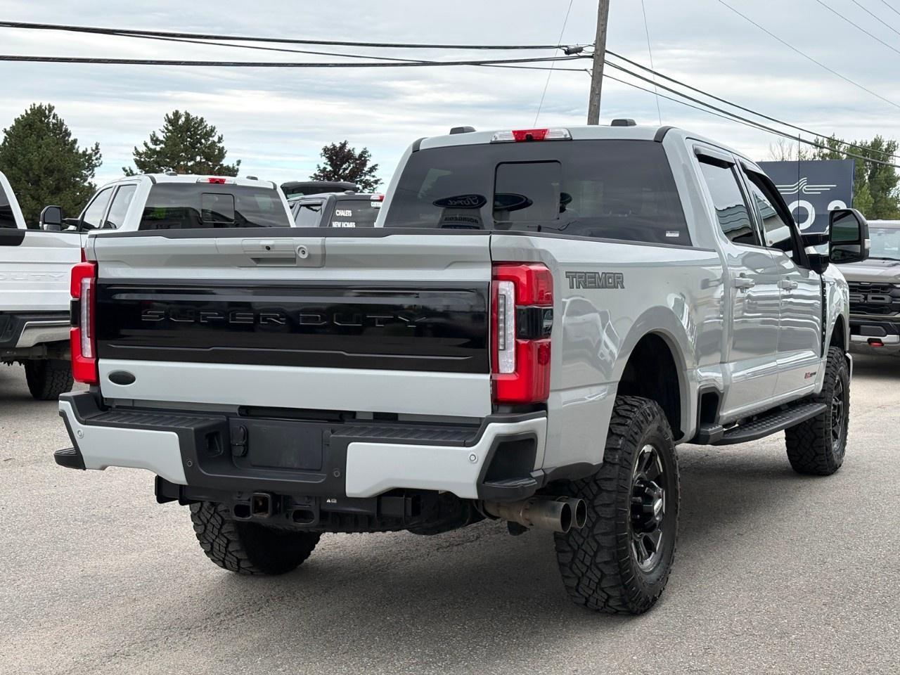 2025 Ford F-250 Super Duty SRW PLATINUM 4WD CREW CAB 6.75' BOX Photo