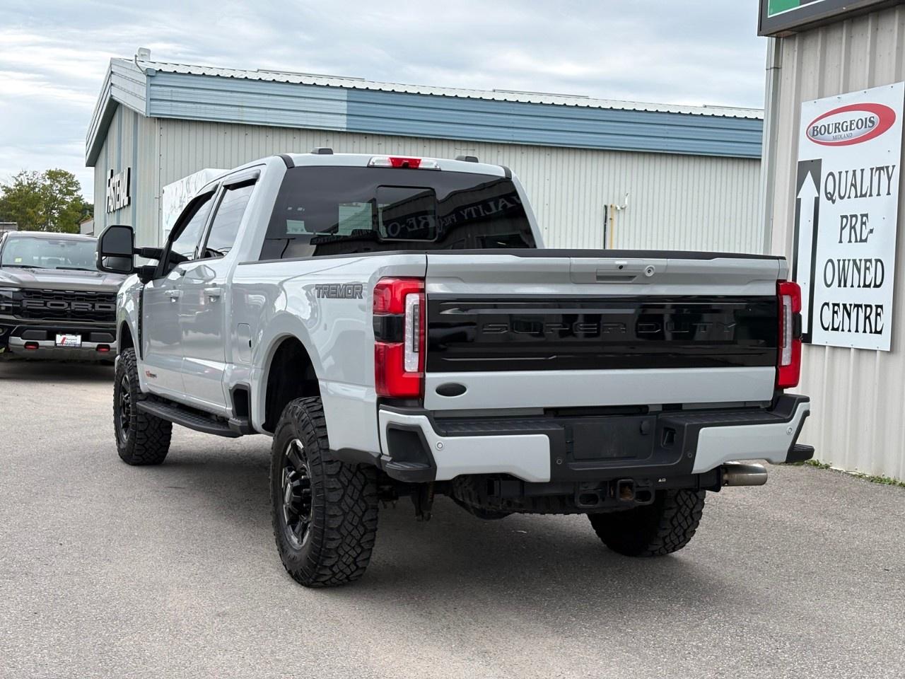 2025 Ford F-250 Super Duty SRW PLATINUM 4WD CREW CAB 6.75' BOX Photo