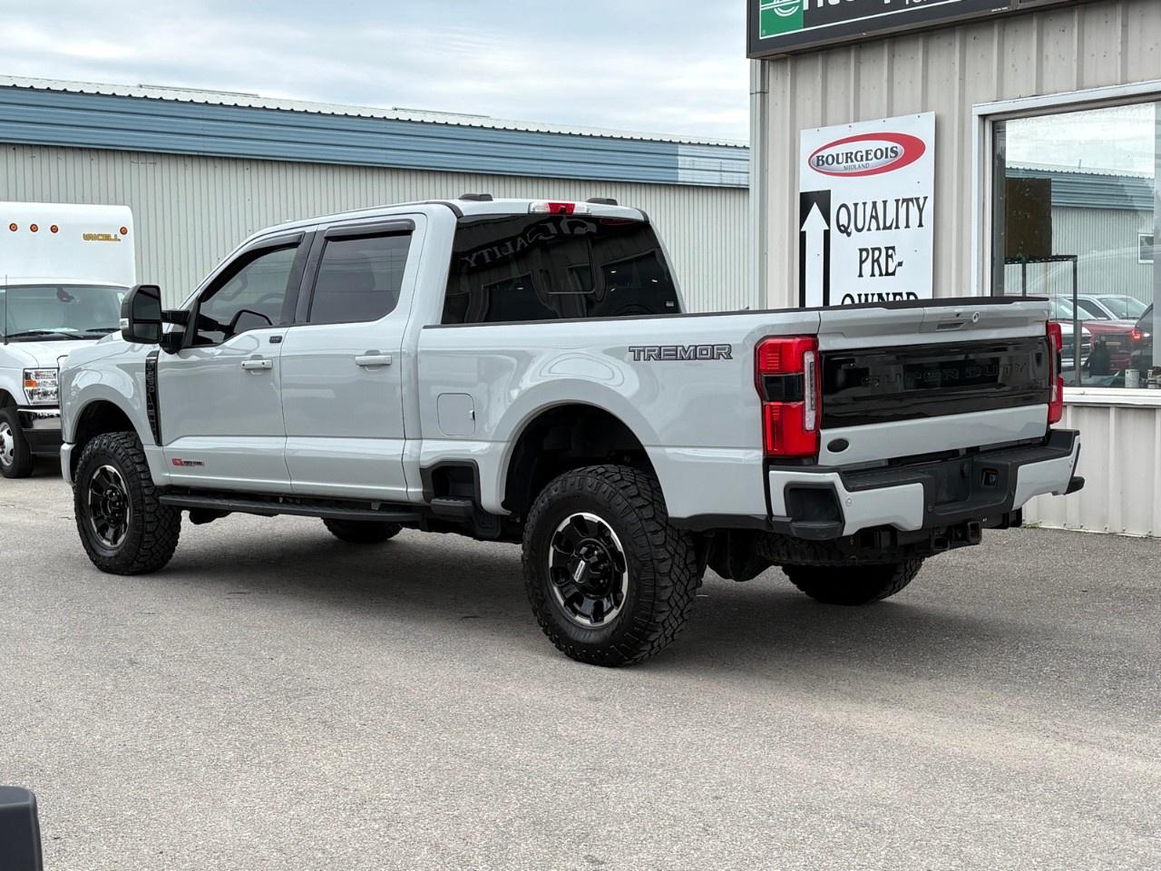 2025 Ford F-250 Super Duty SRW PLATINUM 4WD CREW CAB 6.75' BOX Photo