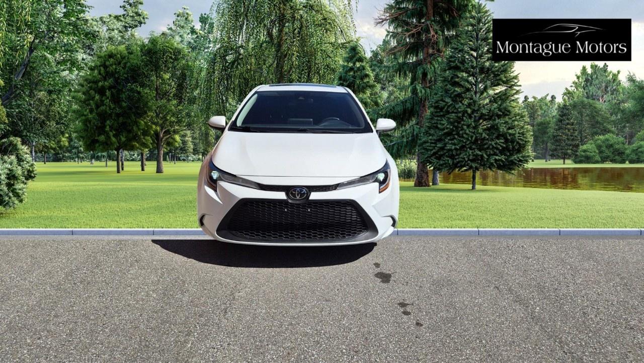 2020 Toyota Corolla LE CVT Photo