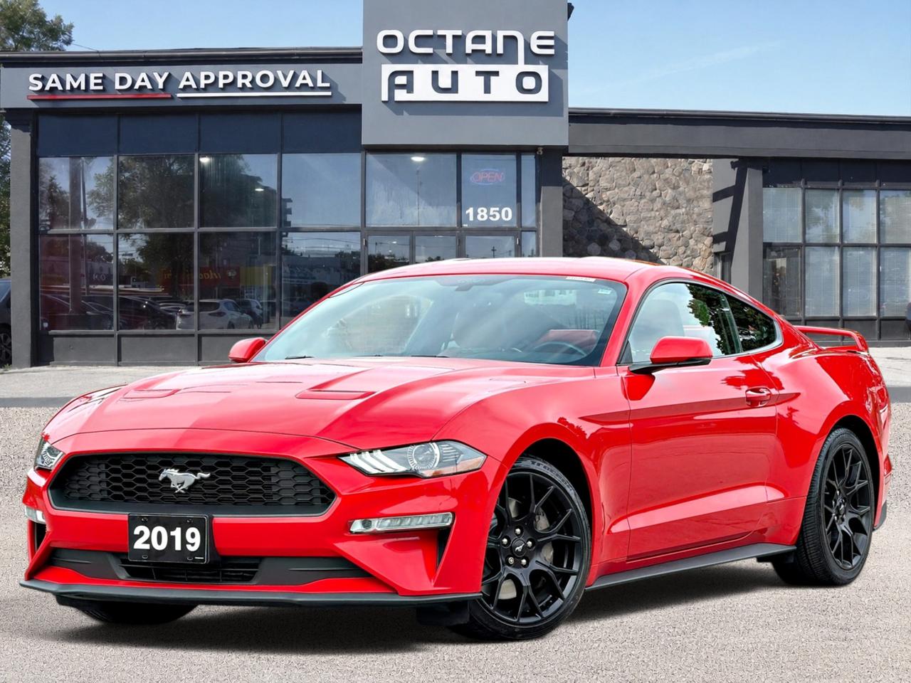 2019 Ford Mustang EcoBoost Premium Fastback - Photo #1