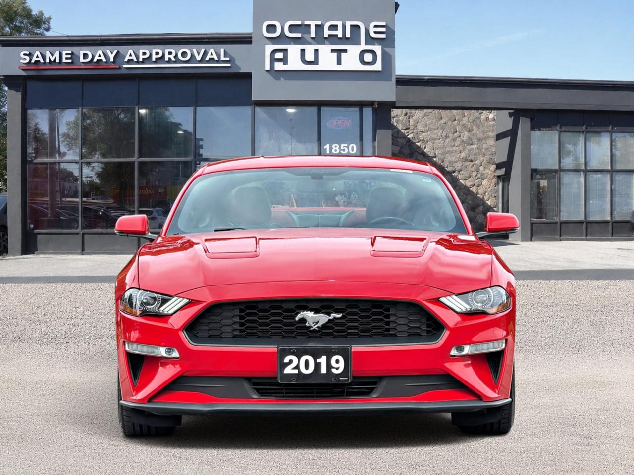 2019 Ford Mustang
