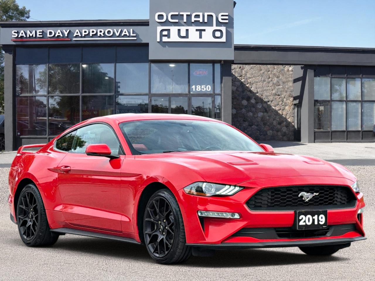 2019 Ford Mustang EcoBoost Premium Fastback Photo