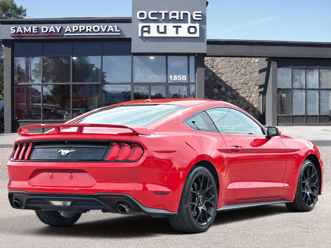 2019 Ford Mustang EcoBoost Premium Fastback Photo
