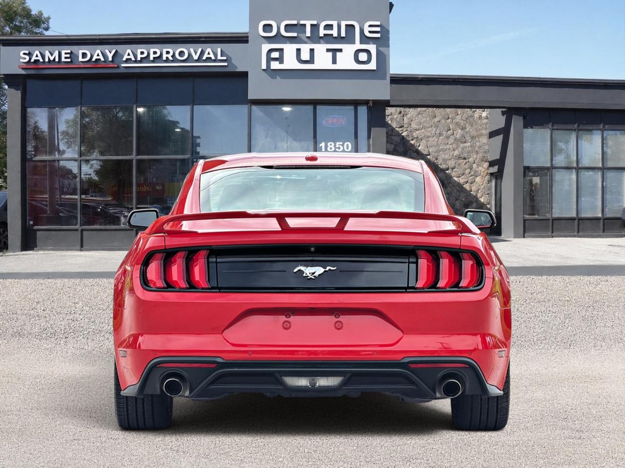2019 Ford Mustang EcoBoost Premium Fastback Photo
