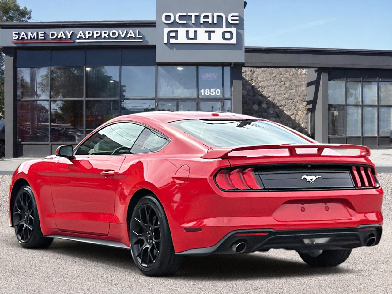2019 Ford Mustang EcoBoost Premium Fastback Photo