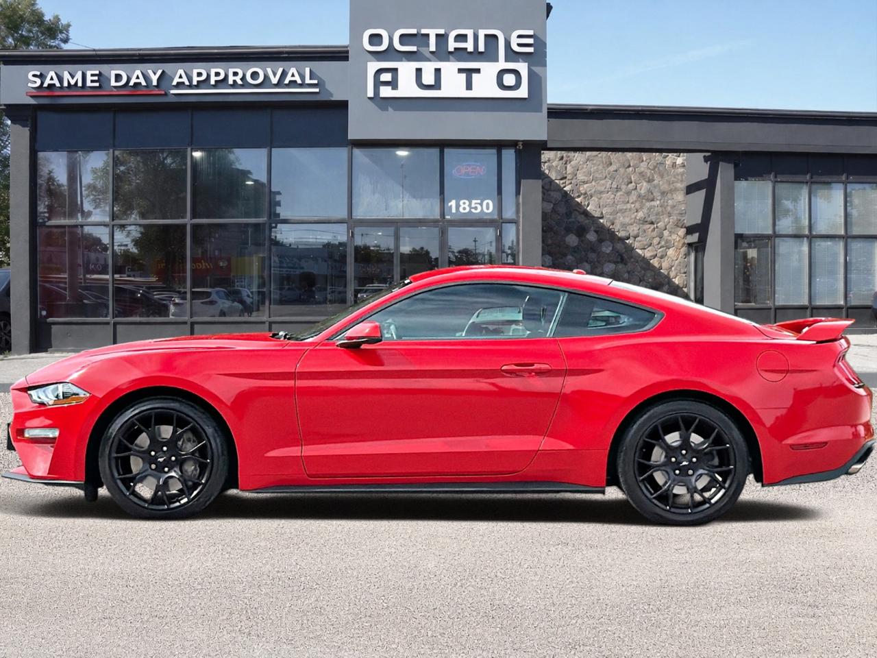 2019 Ford Mustang EcoBoost Premium Fastback Photo
