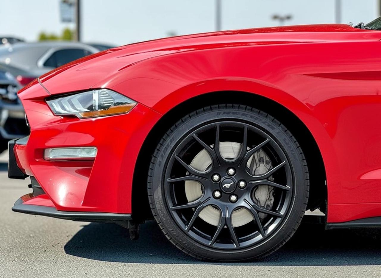 2019 Ford Mustang EcoBoost Premium Fastback Photo