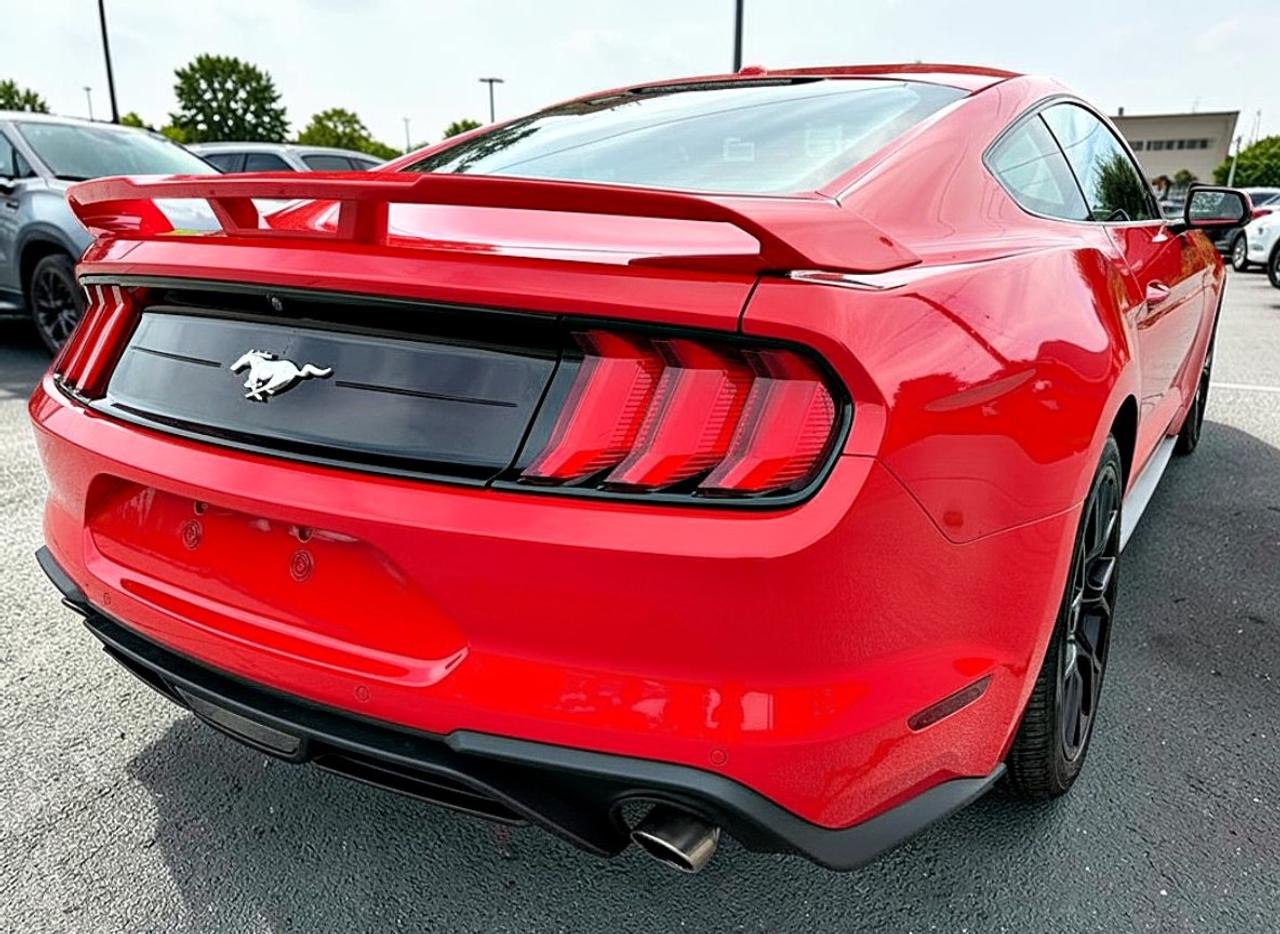 2019 Ford Mustang EcoBoost Premium Fastback Photo