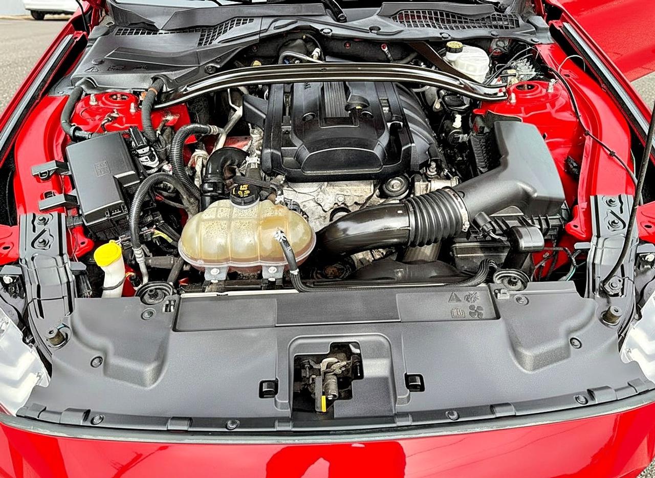2019 Ford Mustang EcoBoost Premium Fastback Photo