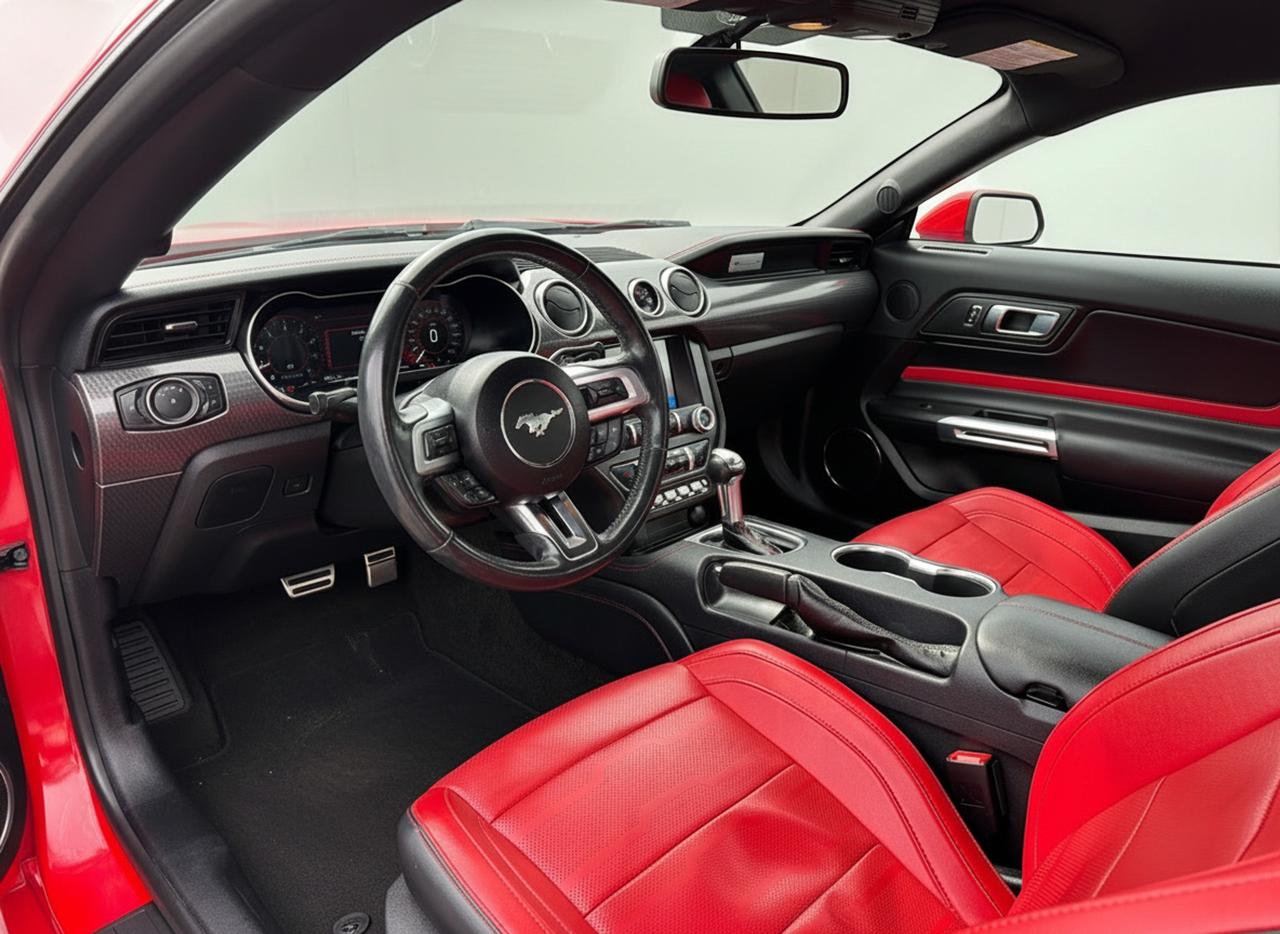 2019 Ford Mustang EcoBoost Premium Fastback Photo