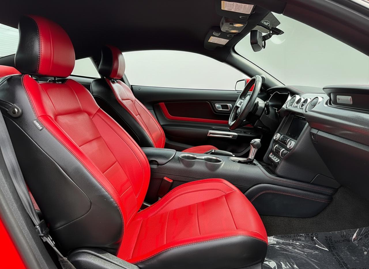2019 Ford Mustang EcoBoost Premium Fastback Photo