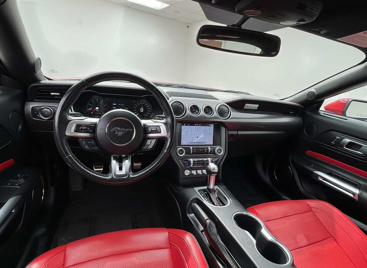 2019 Ford Mustang EcoBoost Premium Fastback Photo