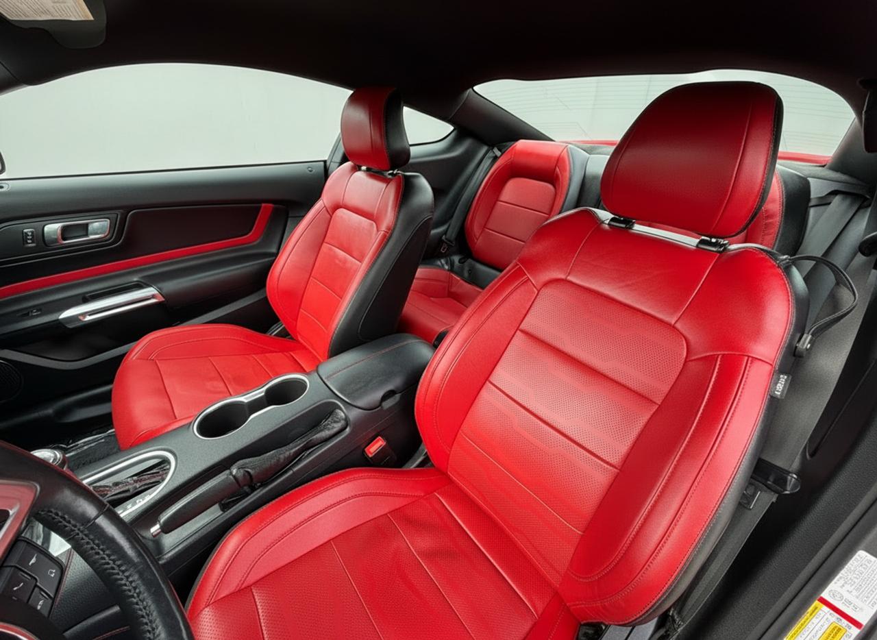 2019 Ford Mustang EcoBoost Premium Fastback Photo