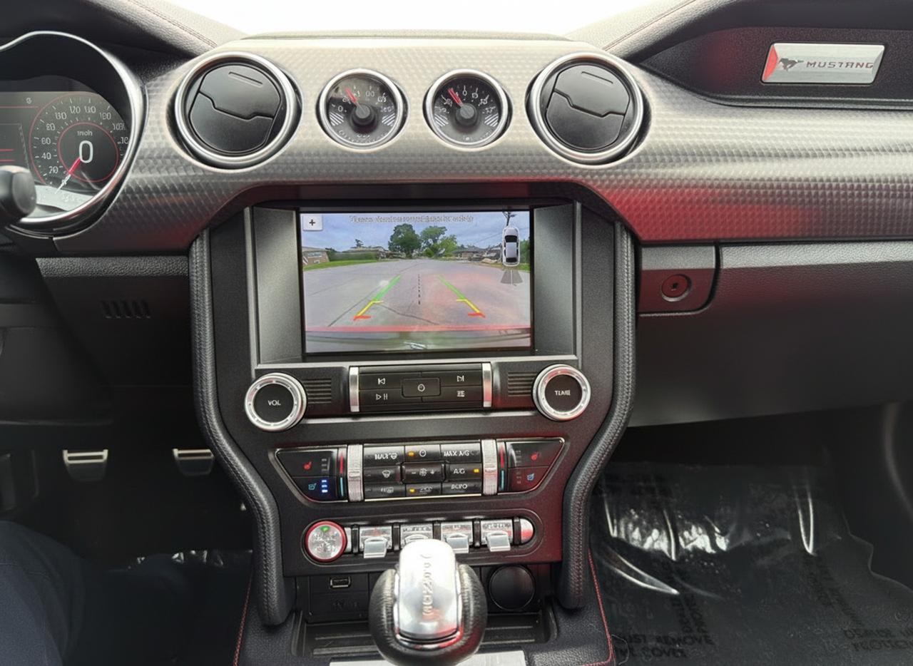 2019 Ford Mustang EcoBoost Premium Fastback Photo