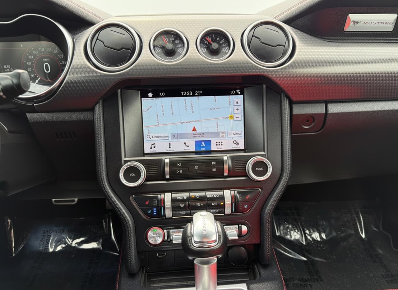 2019 Ford Mustang EcoBoost Premium Fastback Photo