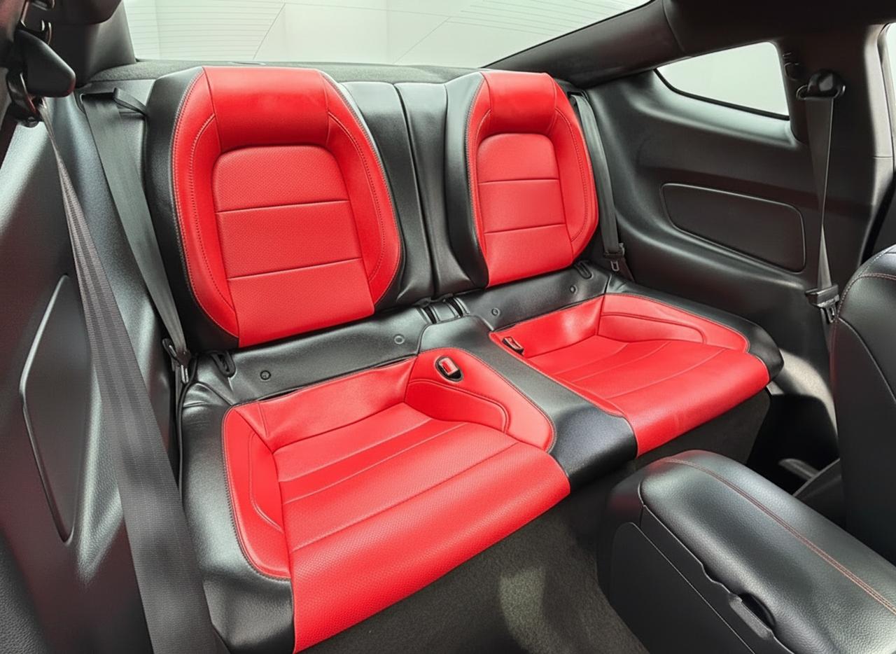 2019 Ford Mustang EcoBoost Premium Fastback Photo