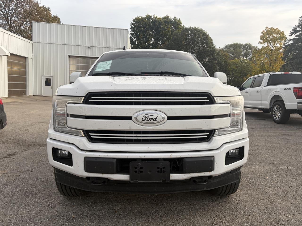 2019 Ford F-150 Lariat 4WD SuperCrew 5.5' Box Photo1