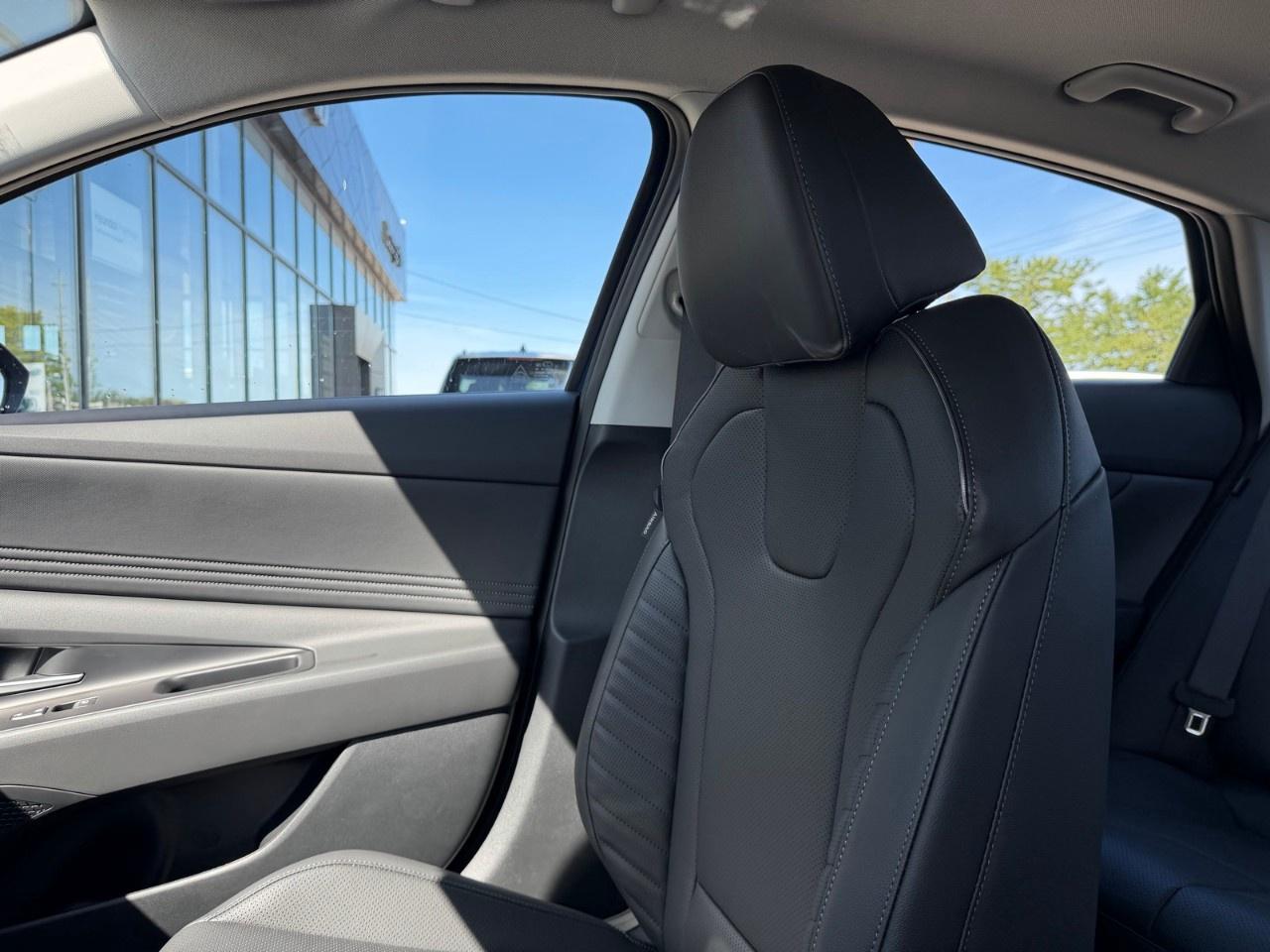 2026 Hyundai Elantra Luxury IVT Photo
