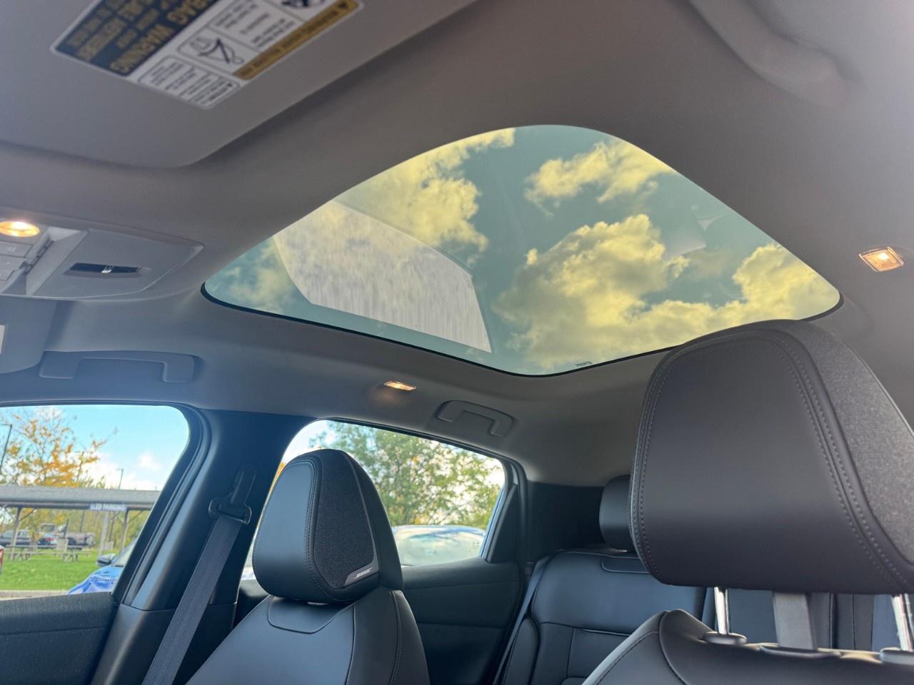 2027 Nissan Leaf PLATINUM  FWD Photo