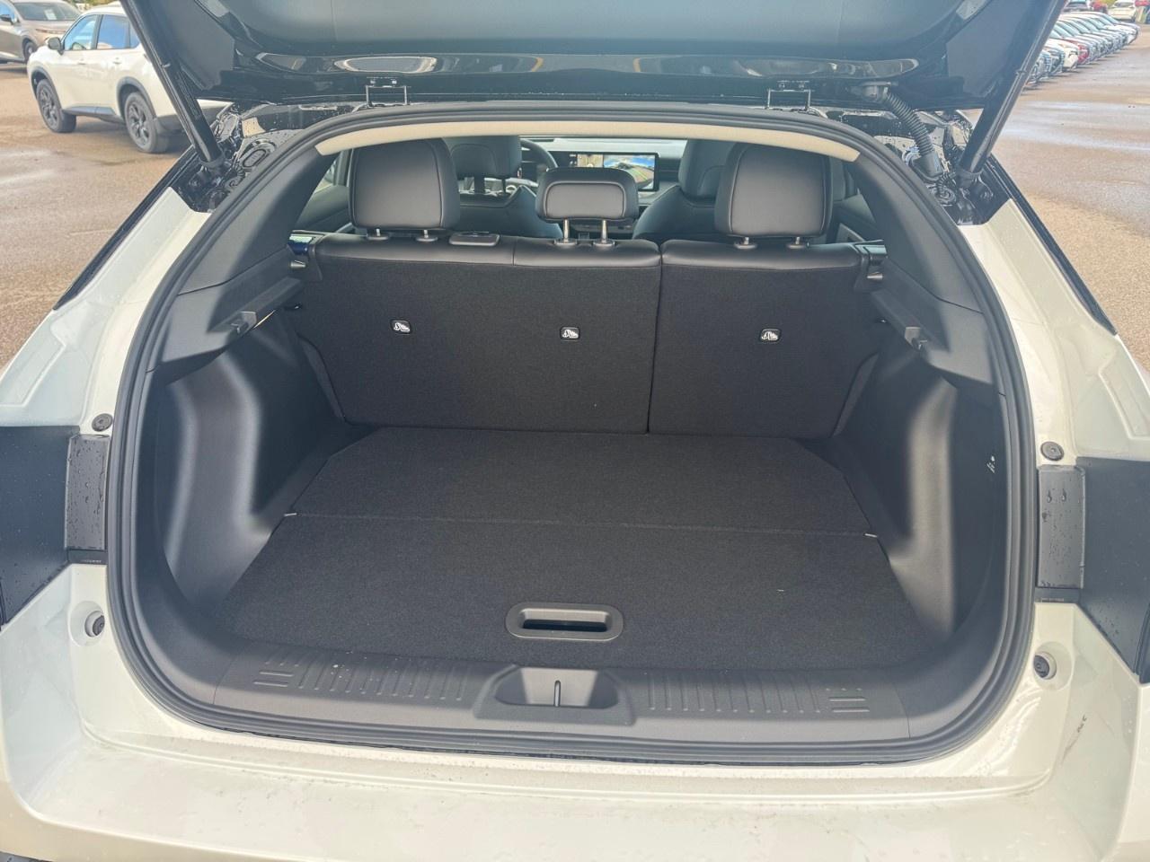 2027 Nissan Leaf PLATINUM  FWD Photo