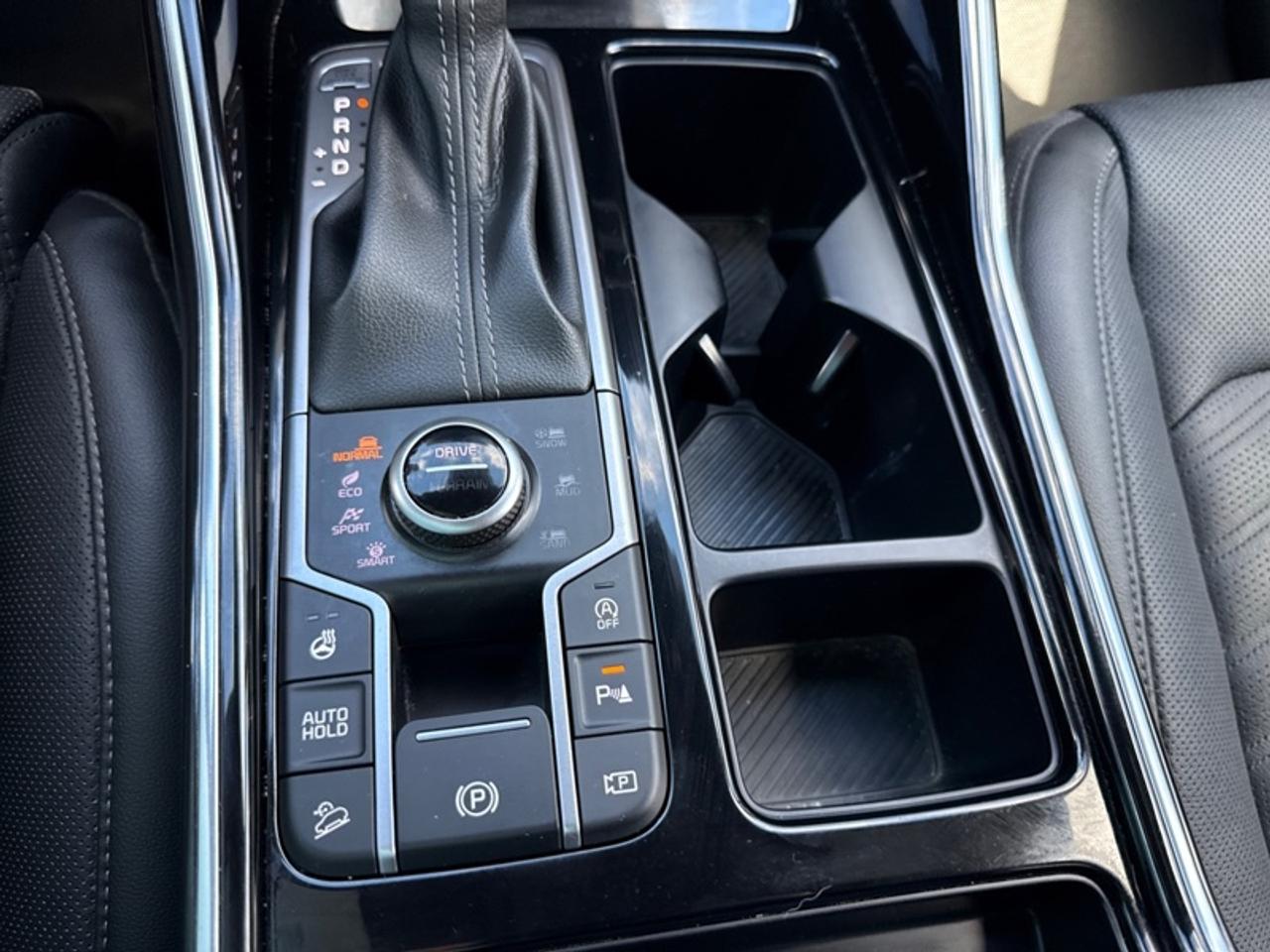 2024 Kia Sorento X-Pro  Panoramic Sunroof - $312 B/W Photo