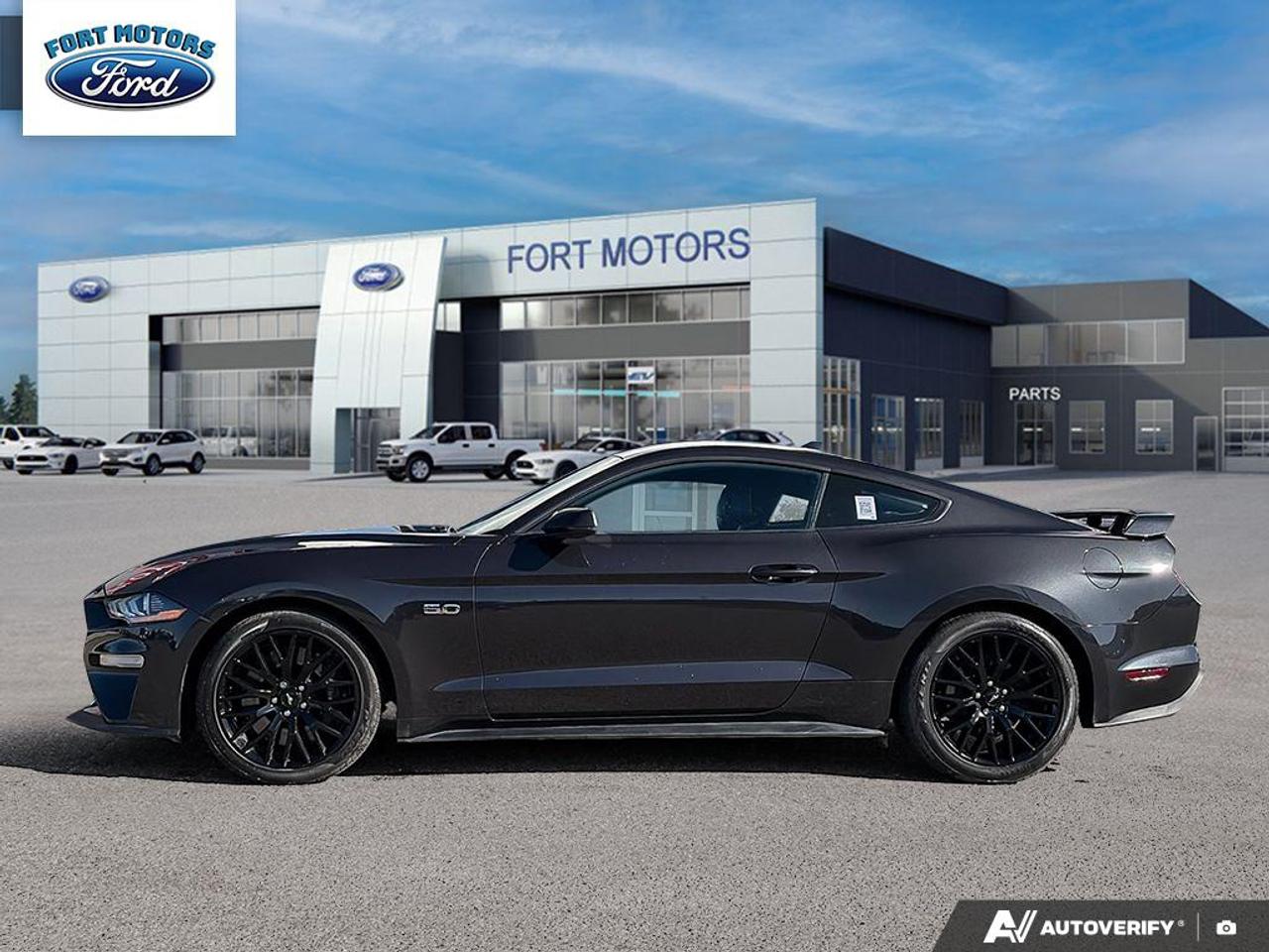2023 Ford Mustang GT Premium Photo3