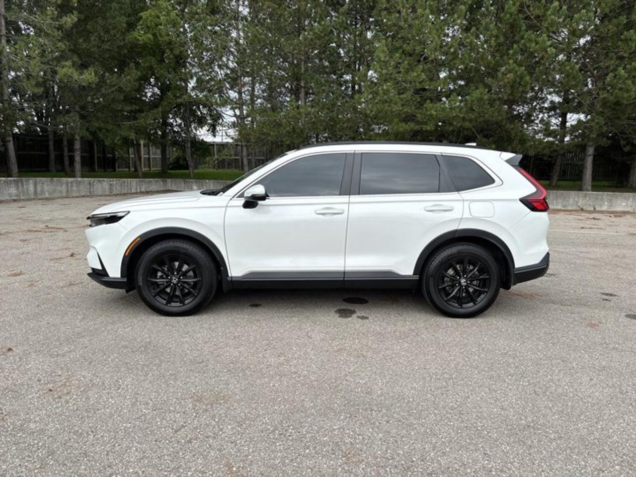 2023 Honda CR-V Sport AWD | No Accidents | Sunroof | Heated Steering Photo