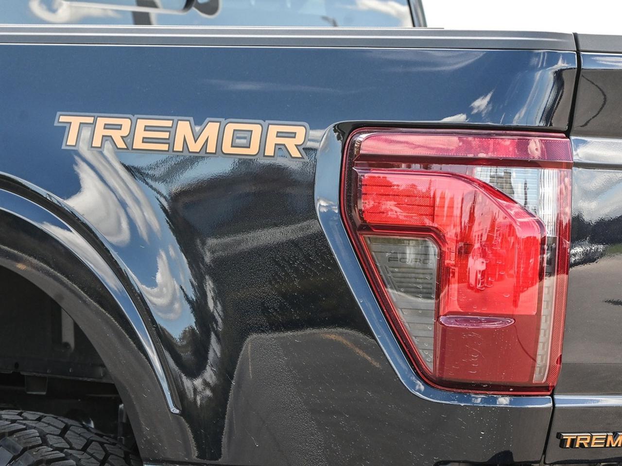 2026 Ford F-150 Tremor Photo