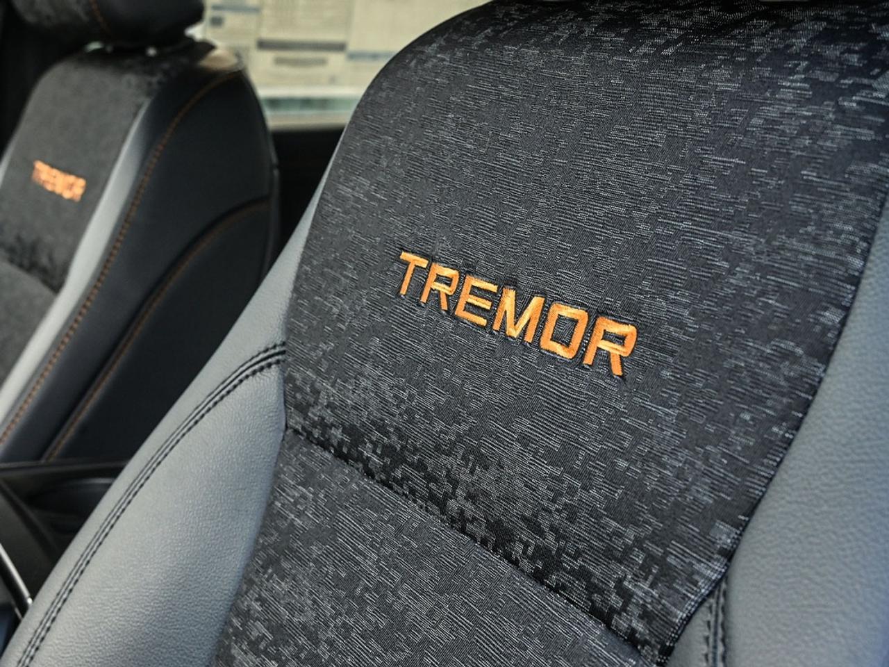 2026 Ford F-150 Tremor Photo