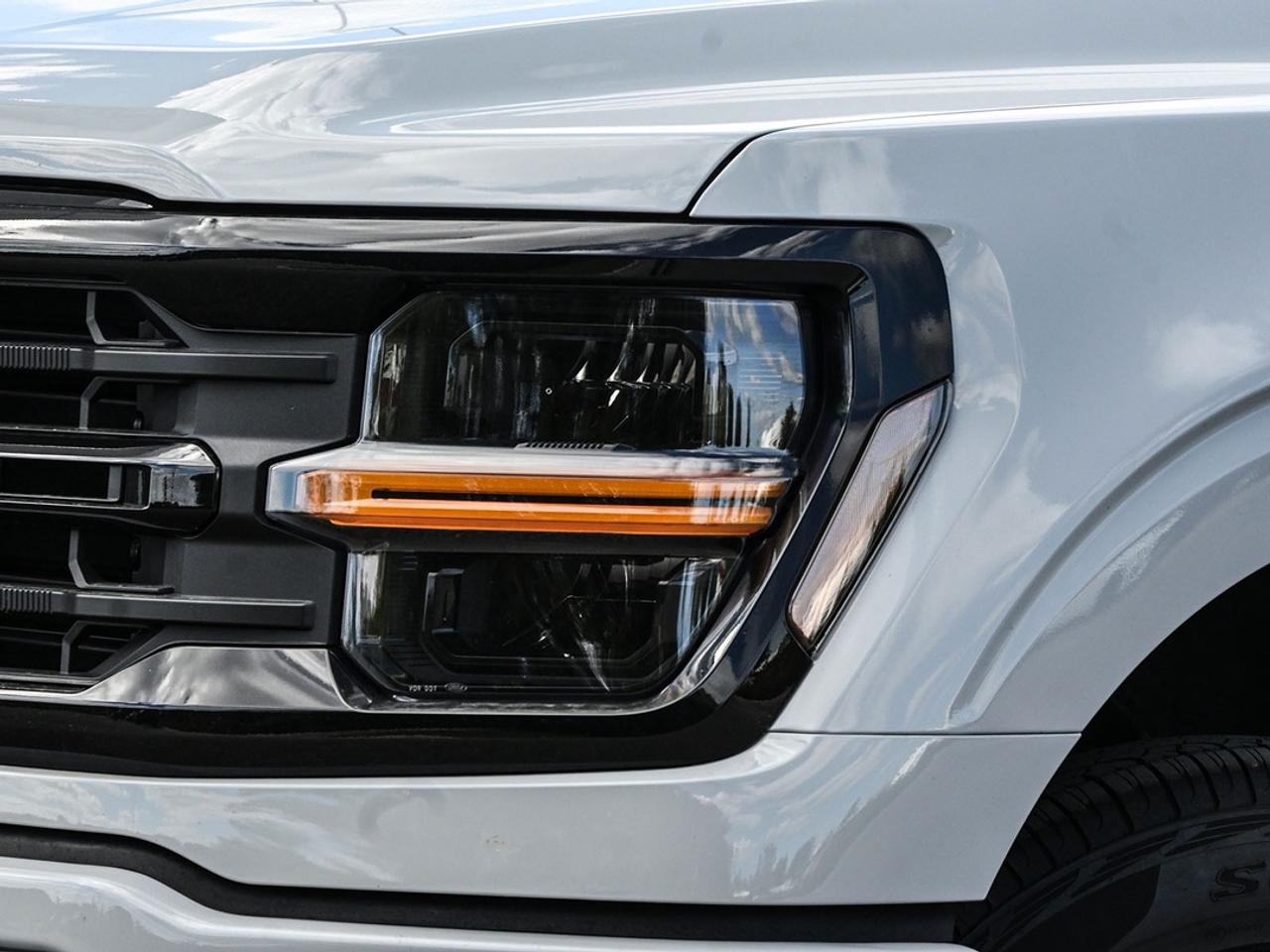 2026 Ford F-150 XLT Photo