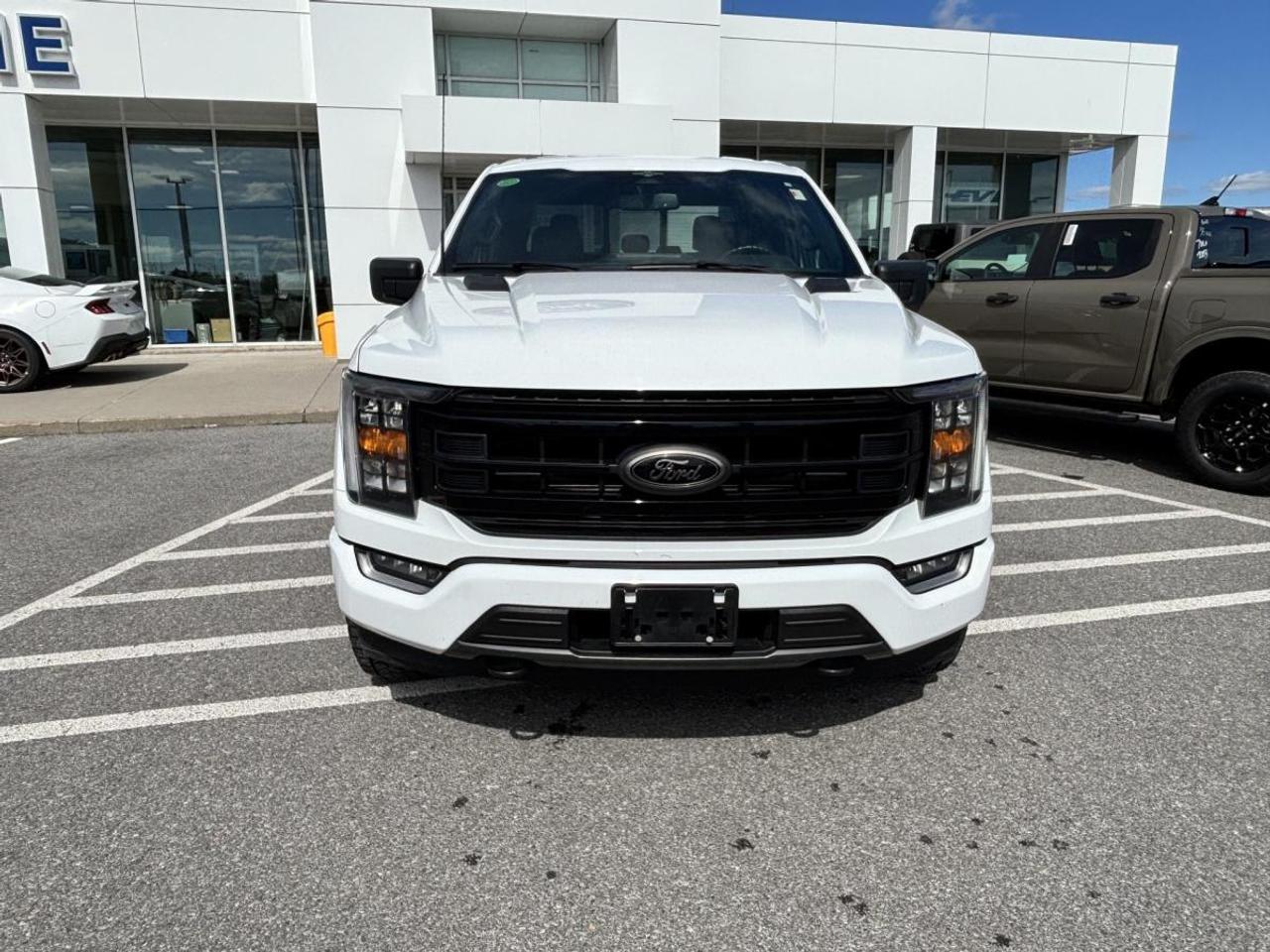 2023 Ford F-150 XLT Photo1