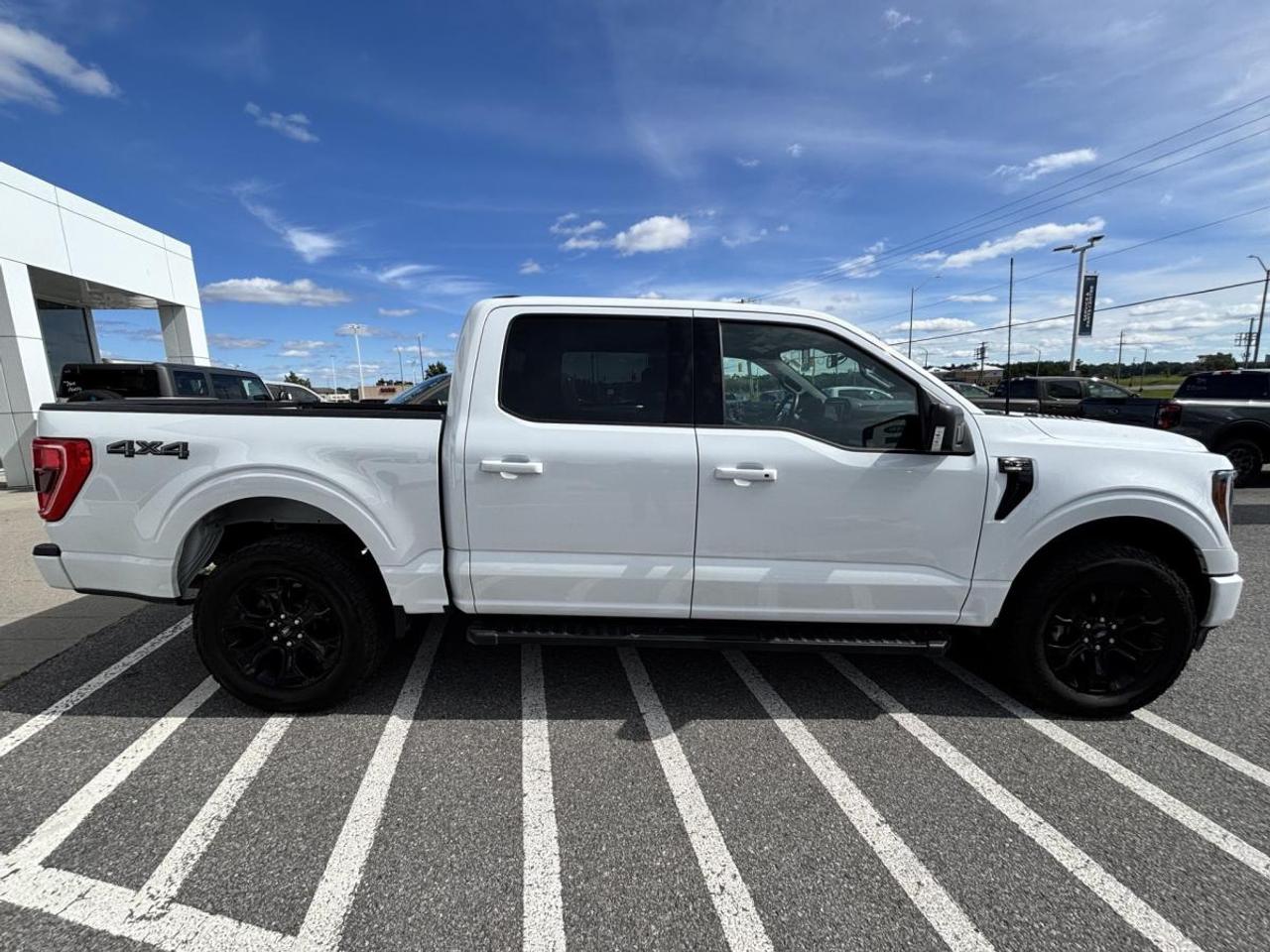 2023 Ford F-150 XLT Photo