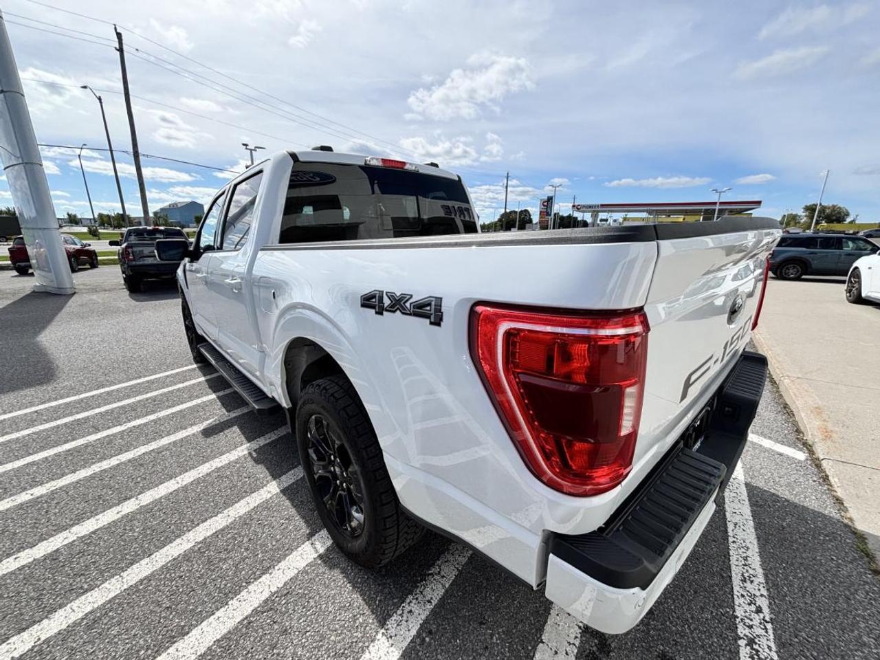 2023 Ford F-150 XLT Photo