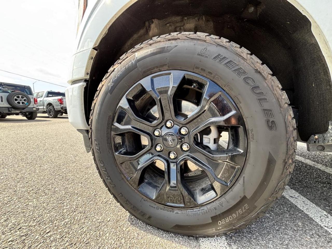 2023 Ford F-150 XLT Photo