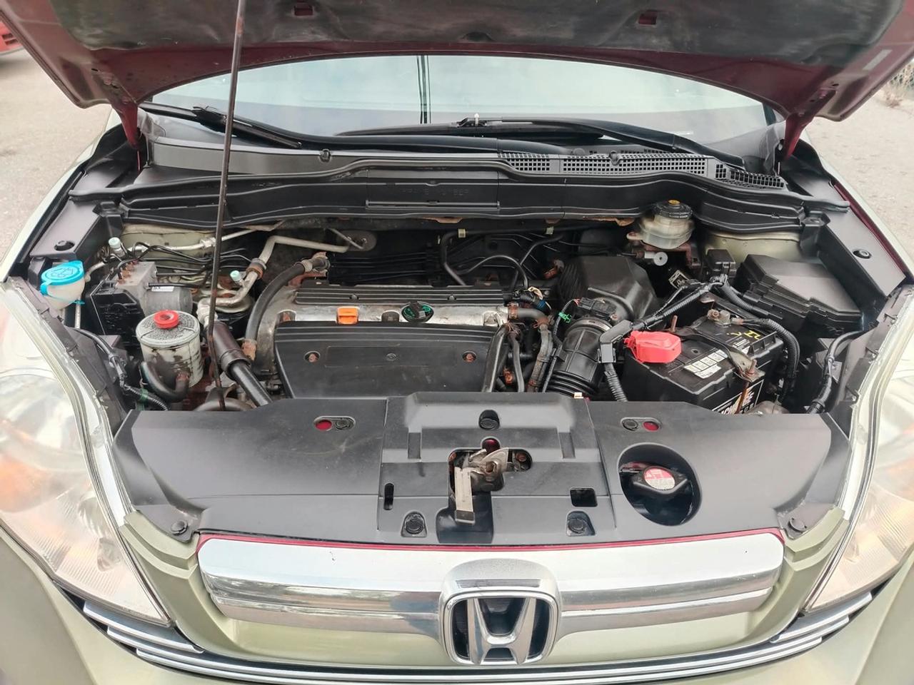 2008 Honda CR-V EX-L Photo