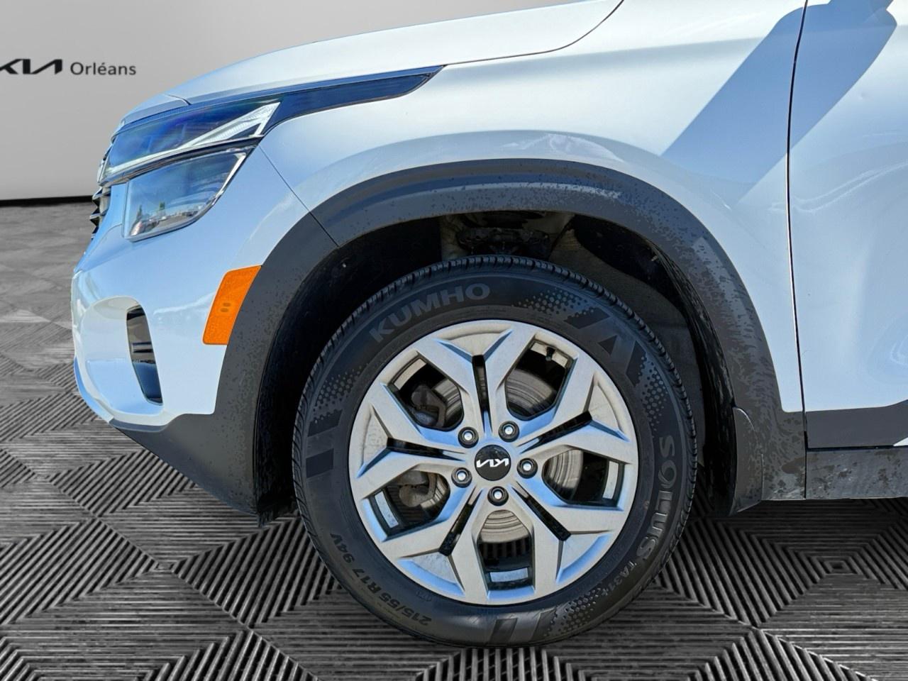 2025 Kia Seltos EX AWD Photo