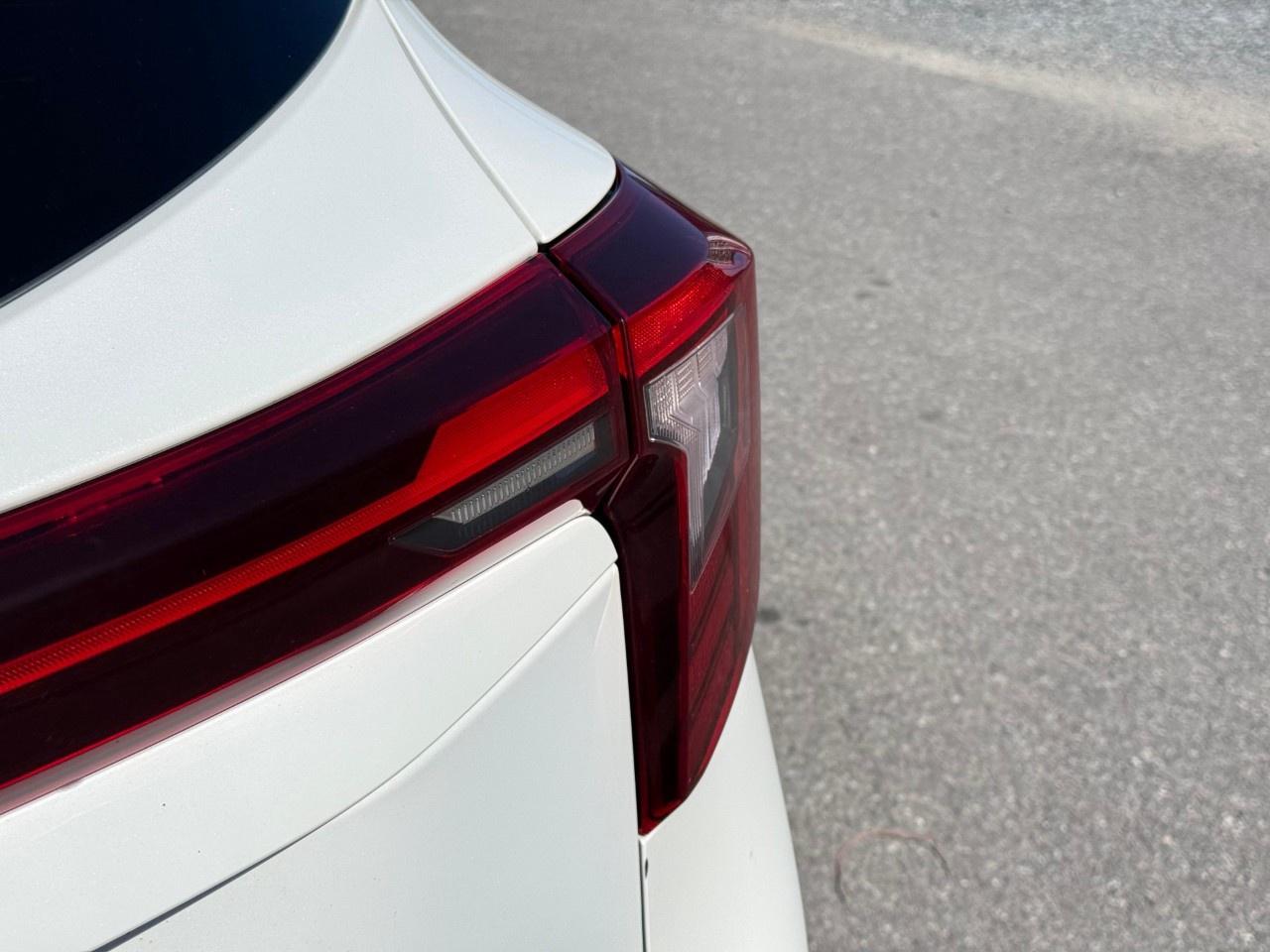 2025 Kia Seltos EX AWD Photo