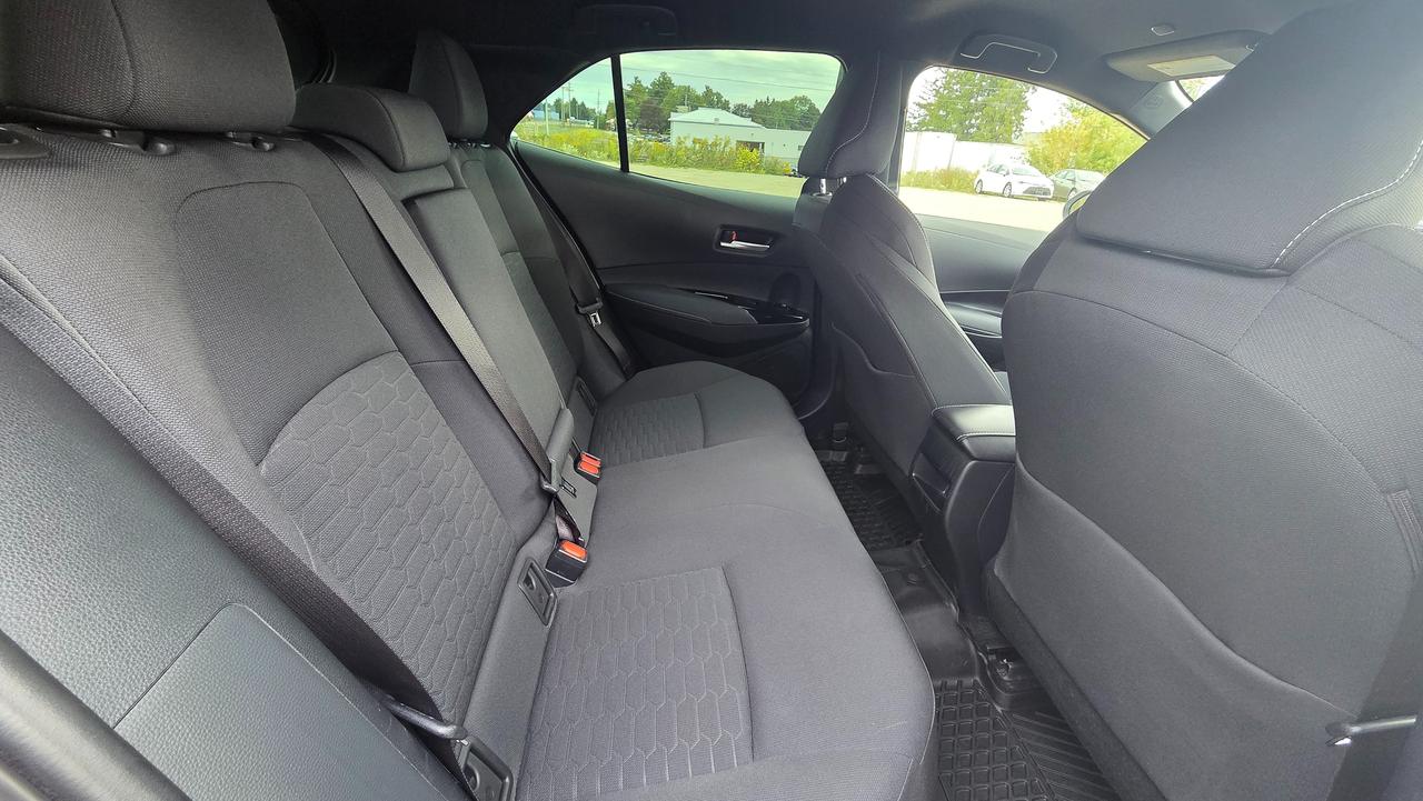 2024 Toyota Corolla  Photo