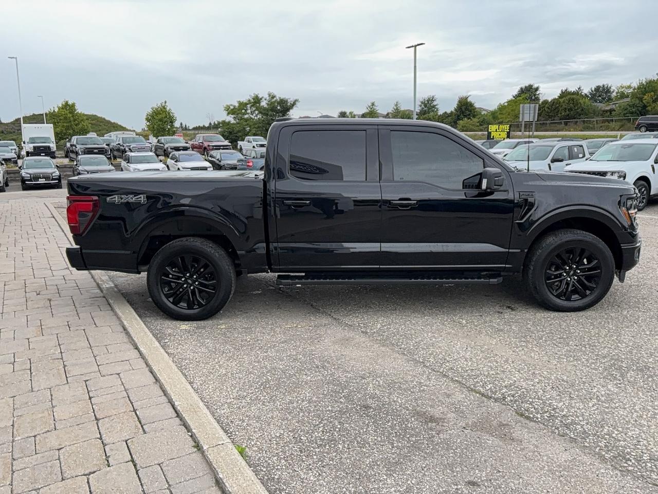 2024 Ford F-150 303A, 2.7L  SPORT, 20"RIMS, PANO ROOF, LEATHER! Photo3