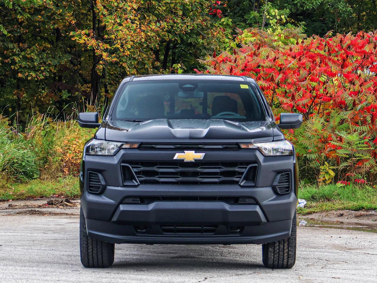 2026 Chevrolet Colorado 4WD Work Truck Photo