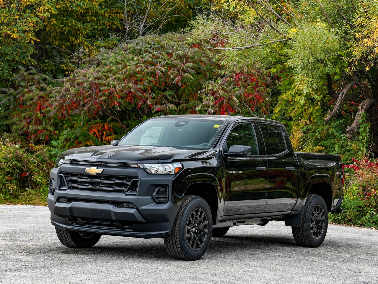 2026 Chevrolet Colorado 4WD Work Truck Photo