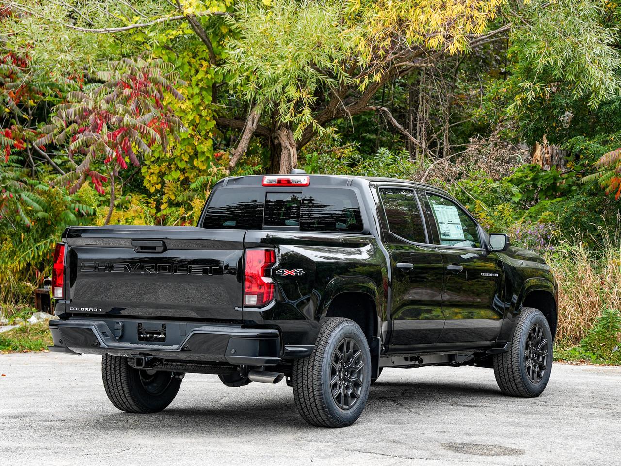 2026 Chevrolet Colorado 4WD Work Truck Photo