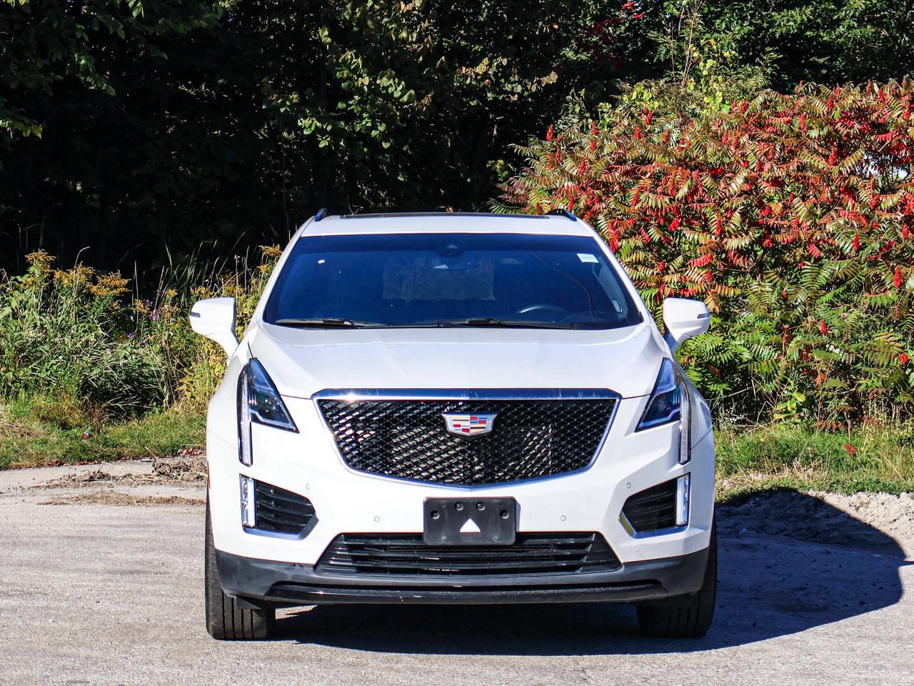 2022 Cadillac XT5 AWD Sport Photo