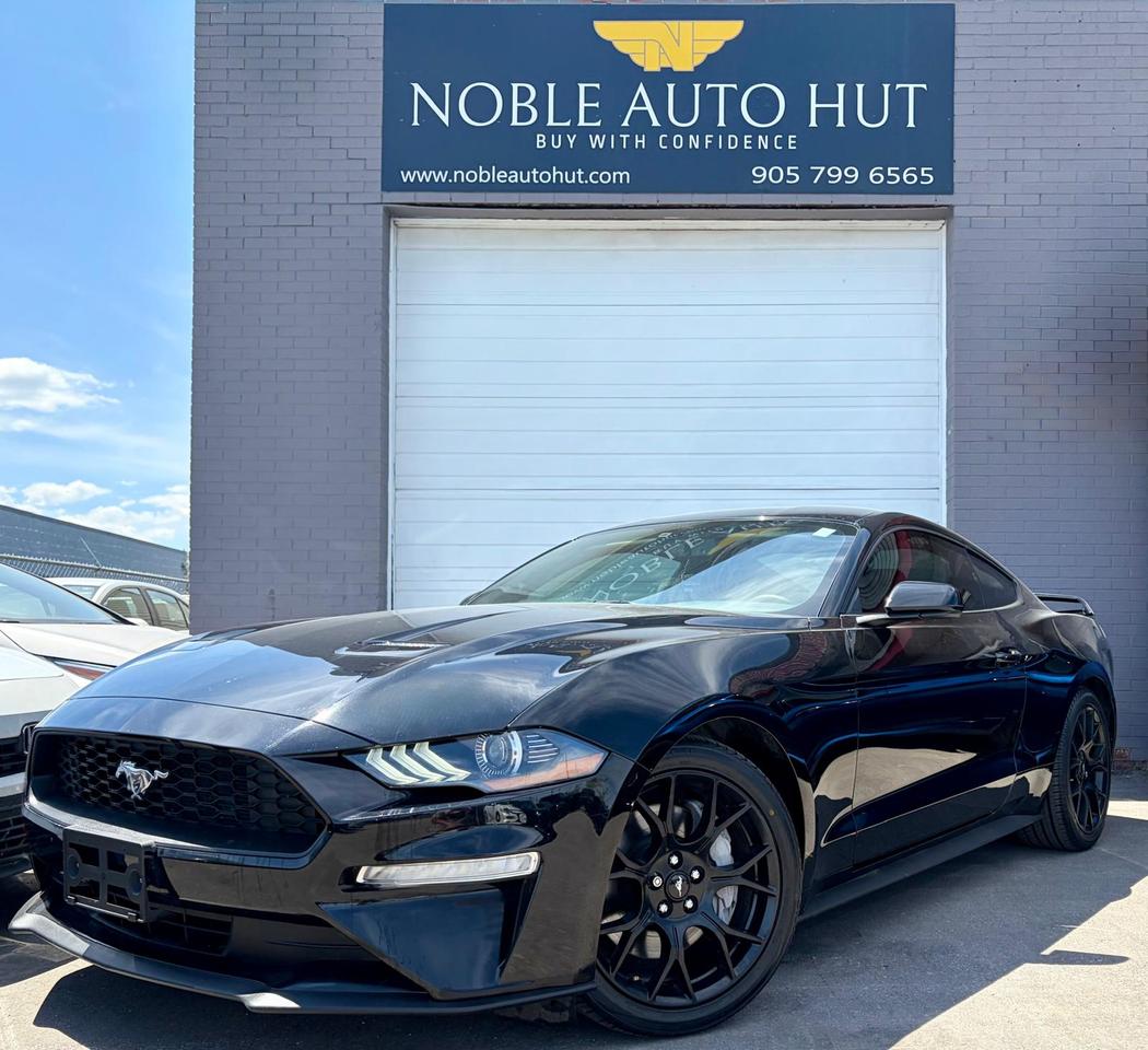 2019 Ford Mustang EcoBoost Photo