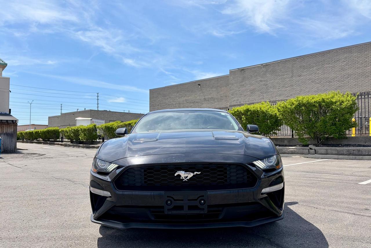 2019 Ford Mustang EcoBoost - Photo #2