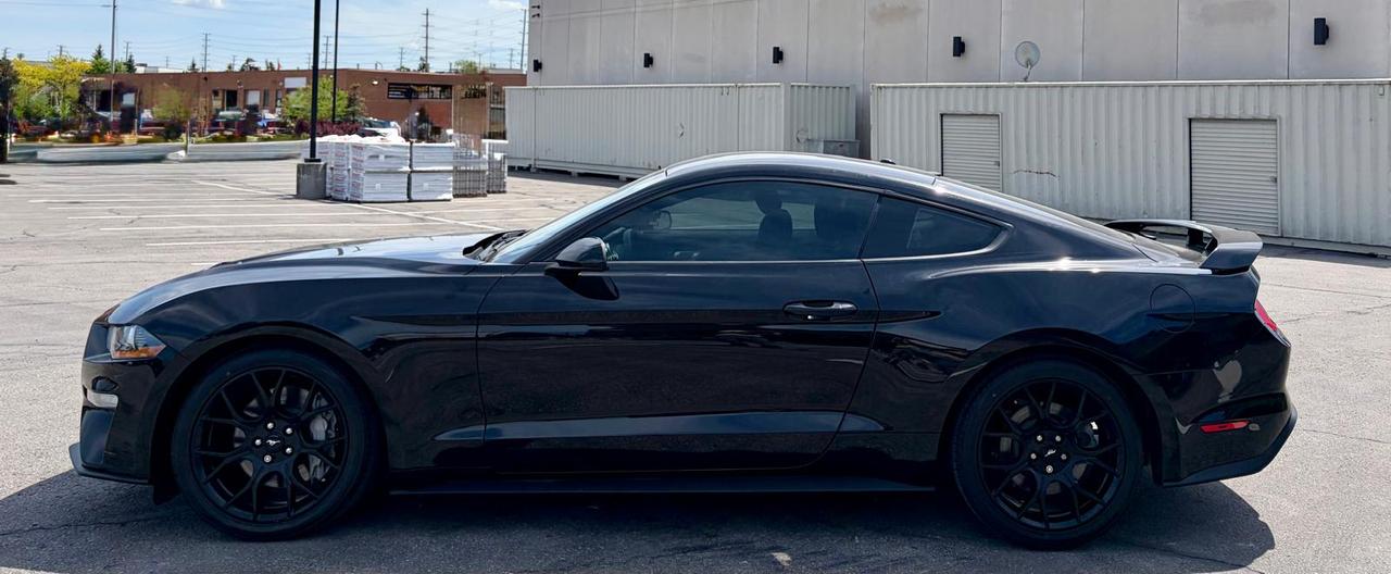 2019 Ford Mustang EcoBoost - Photo #3