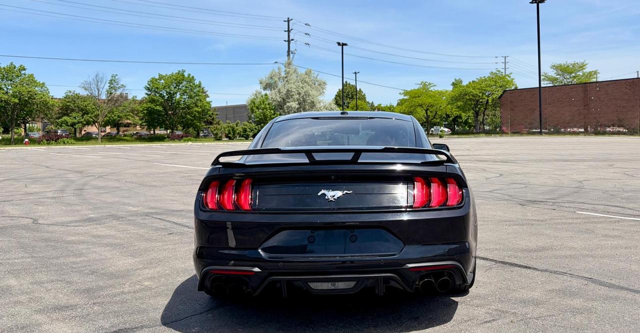 2019 Ford Mustang EcoBoost - Photo #4