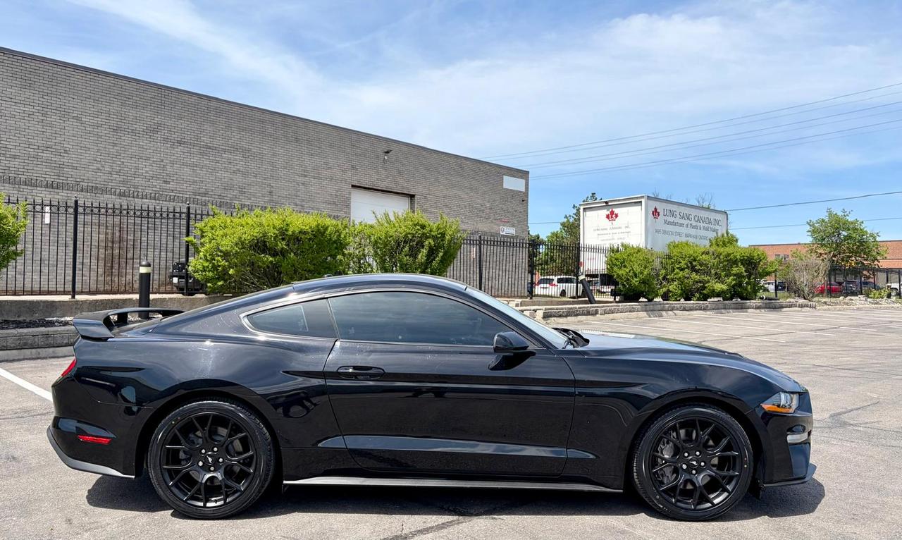 2019 Ford Mustang EcoBoost - Photo #5